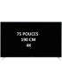 location écran LED 75 pouces Full HD 190cm