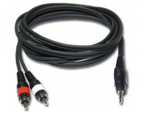 mini jack 3.5 / rca
